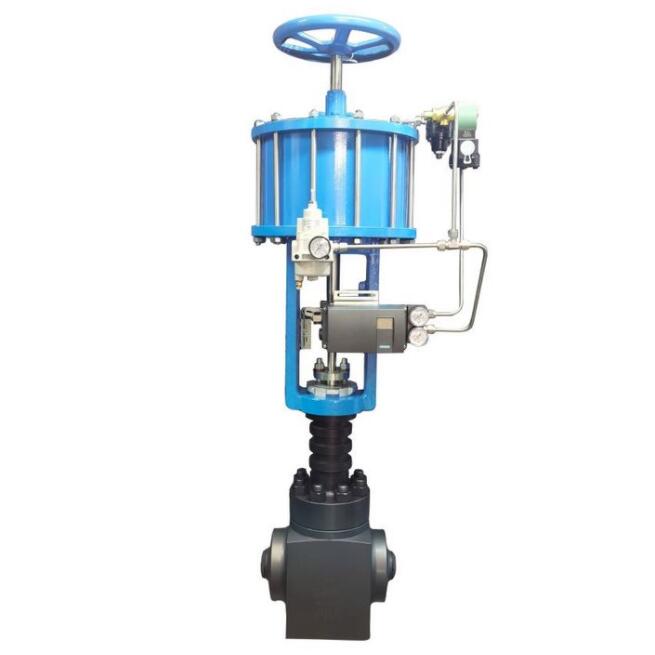 Steam control valve with pneumatic actuator
