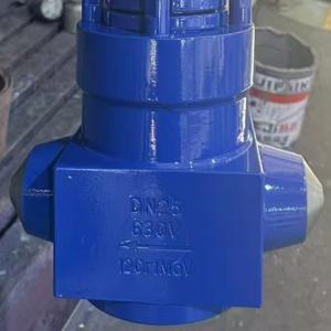 PN630 63MPa High pressure globe valve