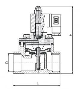 PN40 40Bar 4Mpa Thread solenoid valve