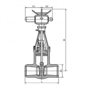 Z962Y Motorized Gate valve