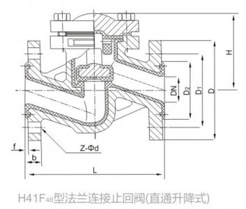 H41F46 FEP Lined Check Valve