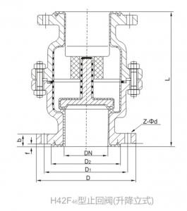 H42F46 FEP Lined Check Valve